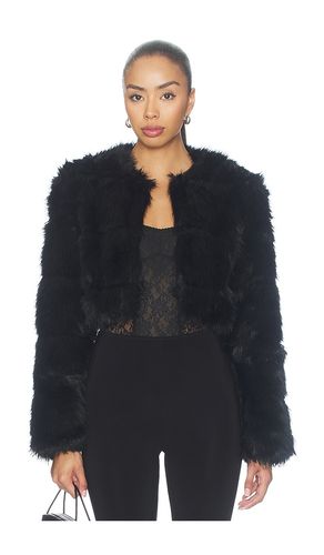 BLOUSON en . Taille L. Also en M, S, XL, XS - Bardot - Modalova