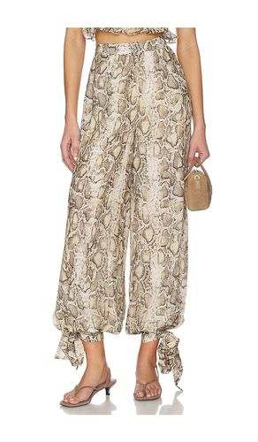 Alira Printed Balloon Pant in . Size 10. Also in 12, 2, 4, 6, 8 - Bardot - Modalova