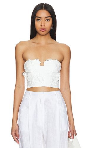 Brias Bustier in . Size 6, 8 - Bardot - Modalova