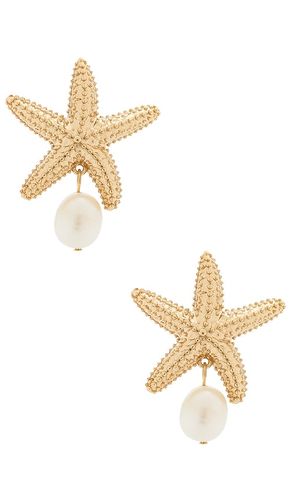 Mariam Shell Earrings in - BaubleBar - Modalova