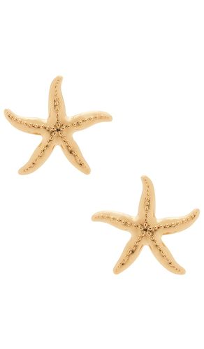 Starfish Earrings in - BaubleBar - Modalova