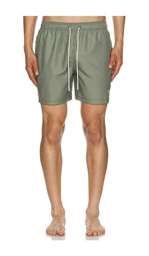 Shell Swim Short en . Taille L. Also en M, XL/1X - Barbour - Modalova