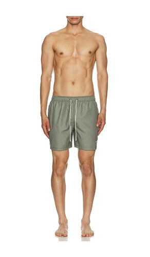 Shell Swim Short en . Taille L. Also en M, XL/1X - Barbour - Modalova