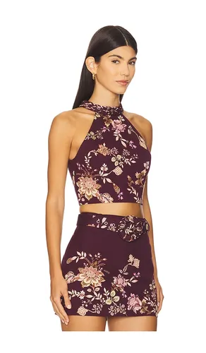 TOP DOS-NU en . Taille S. Also en M, L, XXS - HEMANT AND NANDITA - Modalova
