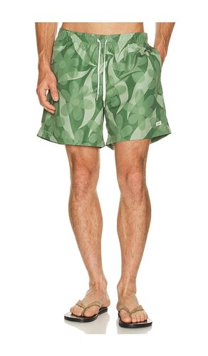 Fern Daisy Trip Swim Trunk en . Taille L. Also en M, S, XL/1X - Bather - Modalova