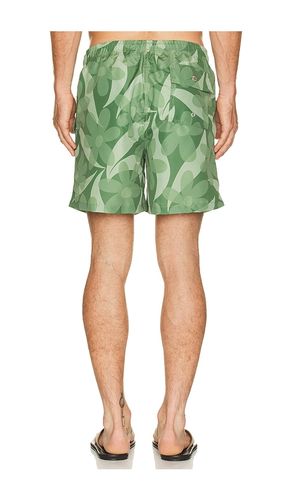 Fern Daisy Trip Swim Trunk en . Taille L. Also en M, S, XL/1X - Bather - Modalova