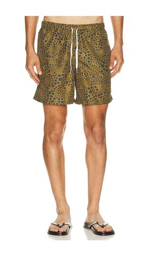 Croc Speckle Swim Trunk en . Taille L. Also en M, S, XL/1X - Bather - Modalova