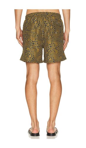 Croc Speckle Swim Trunk en . Taille L. Also en M, S, XL/1X - Bather - Modalova