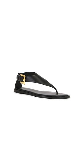SANDALES ANTHEM THONG en . Taille 36. Also en 37, 38, 39 - BALMAIN - Modalova