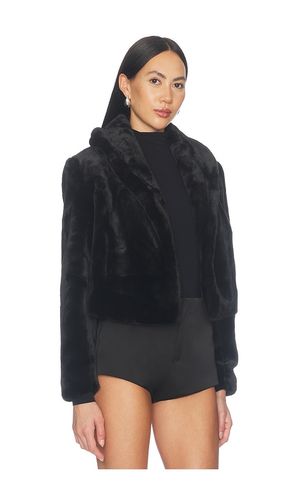 BLOUSON IMITATION FOURRURE en . Taille XS. Also en S, M, L - BLANKNYC - Modalova