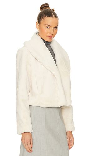 BLOUSON IMITATION FOURRURE en . Taille L. Also en M, S, XS - BLANKNYC - Modalova