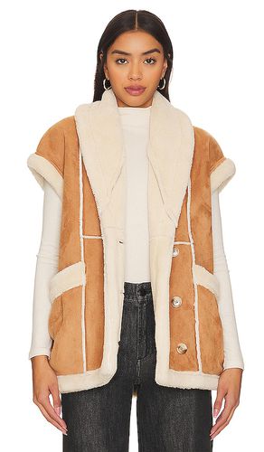 Faux Leather Sherpa Vest in . Size M, S - BLANKNYC - Modalova