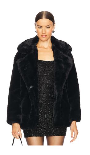 MANTEAU IMITATION FOURRURE FUZZY PAWS in . Size M, S, XS - BLANKNYC - Modalova