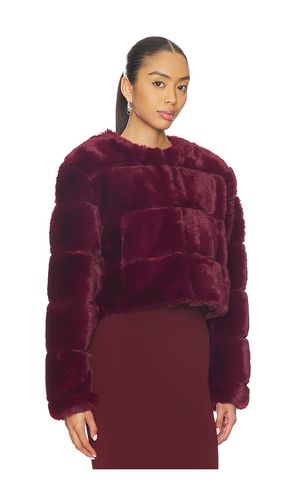 Cropped Faux Fur Coat in . Size L. Also in M - BLANKNYC - Modalova