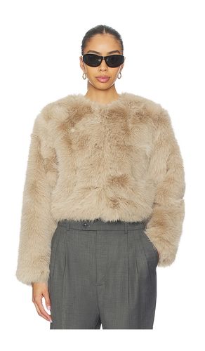 MANTEAU en . Taille L. Also en M, S - BLANKNYC - Modalova