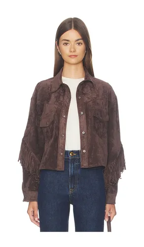 BLOUSON CROPPED en . Taille L. Also en M, XS - BLANKNYC - Modalova