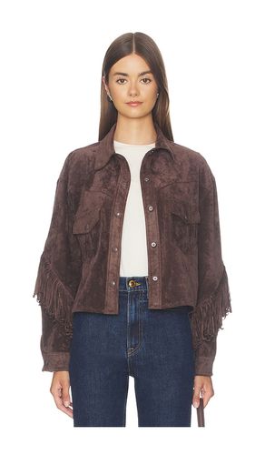 BLOUSON CROPPED en . Taille M. Also en S, XS - BLANKNYC - Modalova