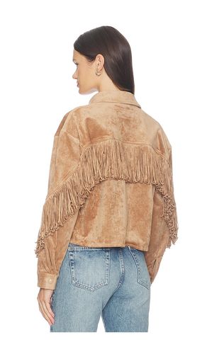 BLOUSON CROPPED en . Taille L. Also en M, XS - BLANKNYC - Modalova
