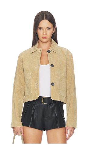 BLOUSON SUEDE en . Taille L. Also en XS - BLANKNYC - Modalova