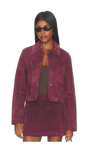 BLOUSON SUEDE en . Taille L. Also en M - BLANKNYC - Modalova