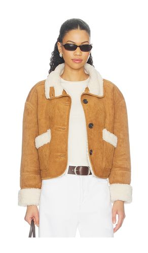 BLOUSON en . Taille XS. Also en S, M, L - BLANKNYC - Modalova