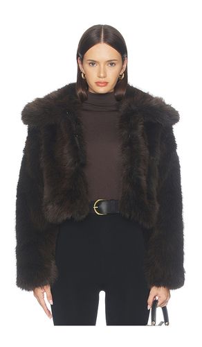 BLOUSON en . Taille S. Also en XS, M, L - BLANKNYC - Modalova