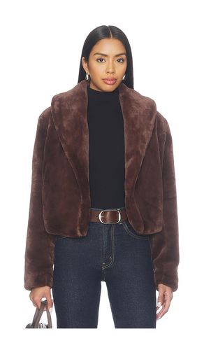 MANTEAU en . Taille XS. Also en S, M, L - BLANKNYC - Modalova
