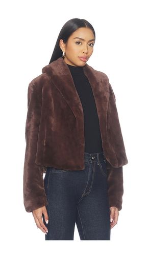 MANTEAU en . Taille XS. Also en S, M, L - BLANKNYC - Modalova