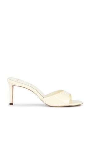 SANDALES FREDDIE en . Taille 35. Also en 35.5, 36.5, 37, 37.5, 39.5, 40 - BLACK SUEDE STUDIO - Modalova