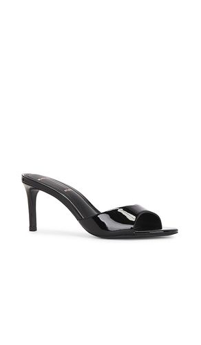 SUEDE STUDIO MULES FREDDIE 65 en . Taille 36. Also en 38, 35 - BLACK SUEDE STUDIO - Modalova