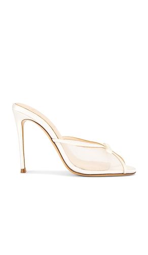 MULES SAMMIE 100 en . Taille 36. Also en 37, 38, 39, 40 - BLACK SUEDE STUDIO - Modalova