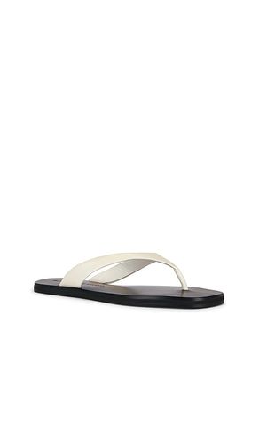 SANDALES BAE en . Taille 36. Also en 37 - BLACK SUEDE STUDIO - Modalova