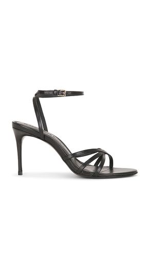 SUEDE STUDIO SANDALES OLIE 80 en . Taille 36. Also en 37, 38, 40 - BLACK SUEDE STUDIO - Modalova
