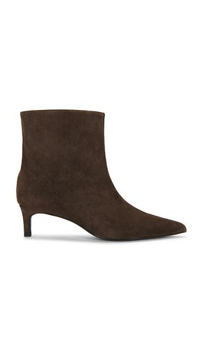 BOTTINES TRINA 50 en . Taille 36. Also en 37, 38 - BLACK SUEDE STUDIO - Modalova