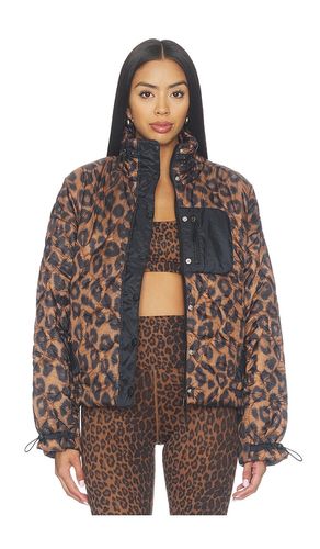 BLOUSON MATELASSÉ HARVIE en . Taille L. Also en S - BEACH RIOT - Modalova