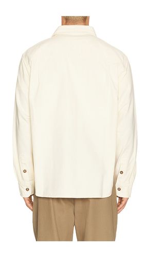 CHEMISE en . Taille L. Also en M, XL/1X, XXL/2X - By Parra - Modalova
