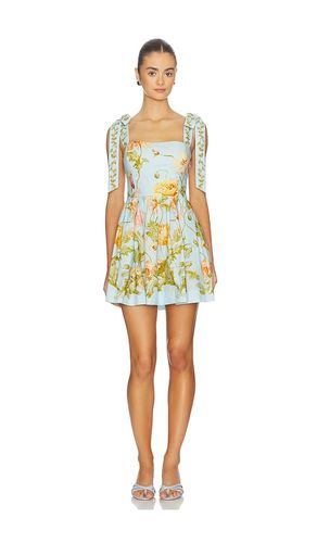 Tula Mini Dress in . Size 4. Also in 8 - Cara Cara - Modalova