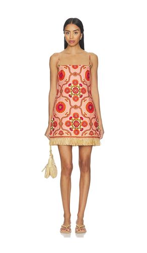 ROBE COURTE VALENCIA en . Taille 0. Also en - Cara Cara - Modalova
