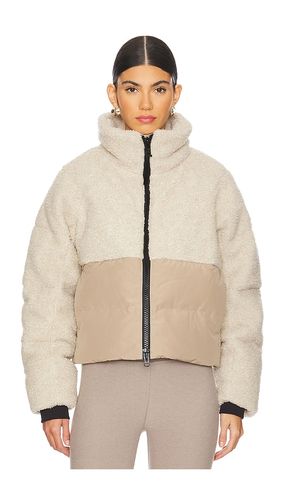 DOUDOUNE ELORA in . Size XL - Canada Goose - Modalova