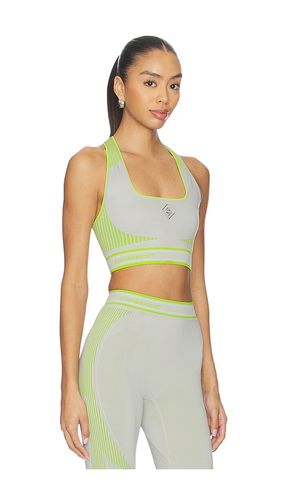 Seamless Bralette in . Size L/XL. Also in S/M - Casablanca - Modalova