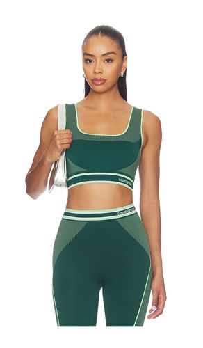 Seamless Bralette in . Size L/XL. Also in S/M - Casablanca - Modalova