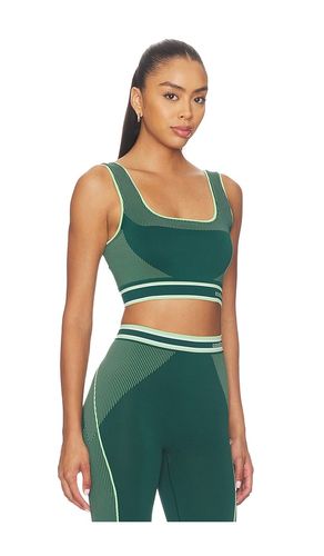 Seamless Bralette in . Size L/XL. Also in S/M - Casablanca - Modalova