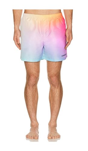 SHORT DE BAIN GRADIENT en . Taille S. Also en L, XL/1X, XXL/2X - Casablanca - Modalova