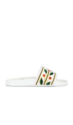 NU-PIED LAUREL en . Taille 40. Also en 45 - Casablanca - Modalova