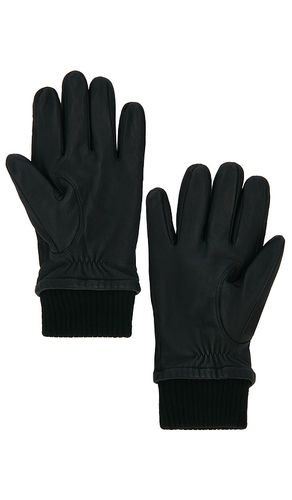 GANTS WORKMAN en . Taille S. Also en XL/1X - Canada Goose - Modalova