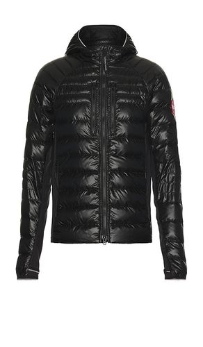 SWEAT À CAPUCHE in . Size M, S, XL/1X - Canada Goose - Modalova