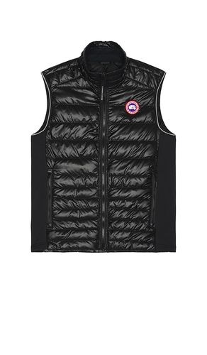 GILET en . Taille L. Also en M, S - Canada Goose - Modalova