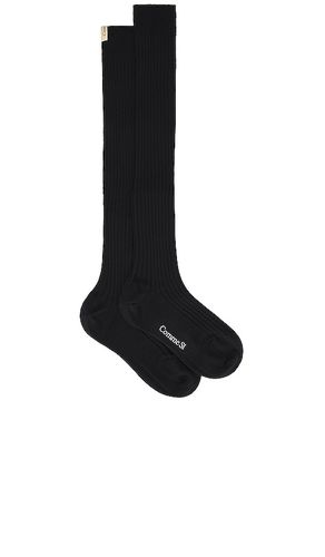 CHAUSSETTES en . Taille 36/37. Also en 38/39, 40/41 - Comme Si - Modalova