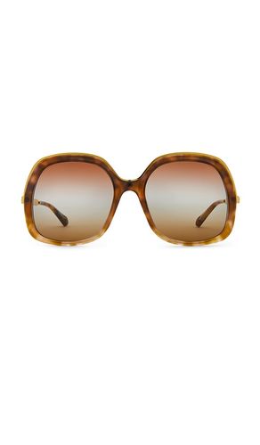 Aly Square Sunglasses in - Chloe - Modalova