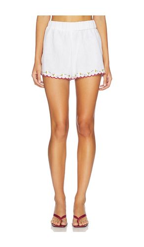 Joska Short en . Taille L. Also en M, S, XL, XS, XXS - Ciao Lucia - Modalova